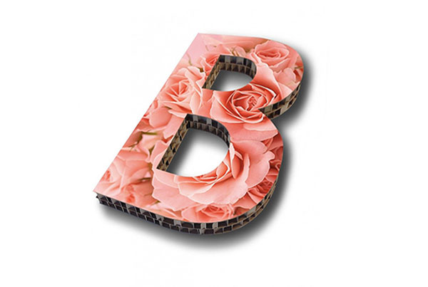 Lletres Corpòries Panell d’Abella